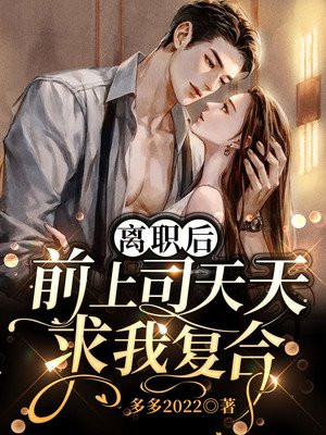 这位飞升境大限将至