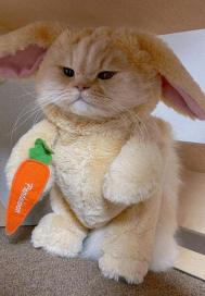 秘诡世界：我靠谎言成神