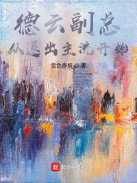 代码神域：风琛的黑客传奇