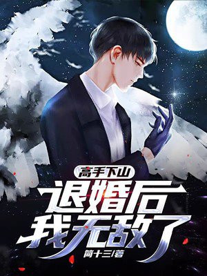 冷婚三年你不爱，二嫁大佬宠上天
