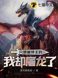 从民政调查员开始扶摇直上