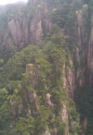 被迫奉子成婚之后