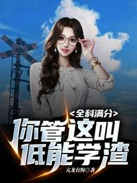 大明：家妻上将军