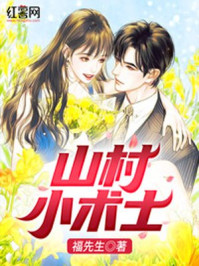 神奇宝贝：大师系统